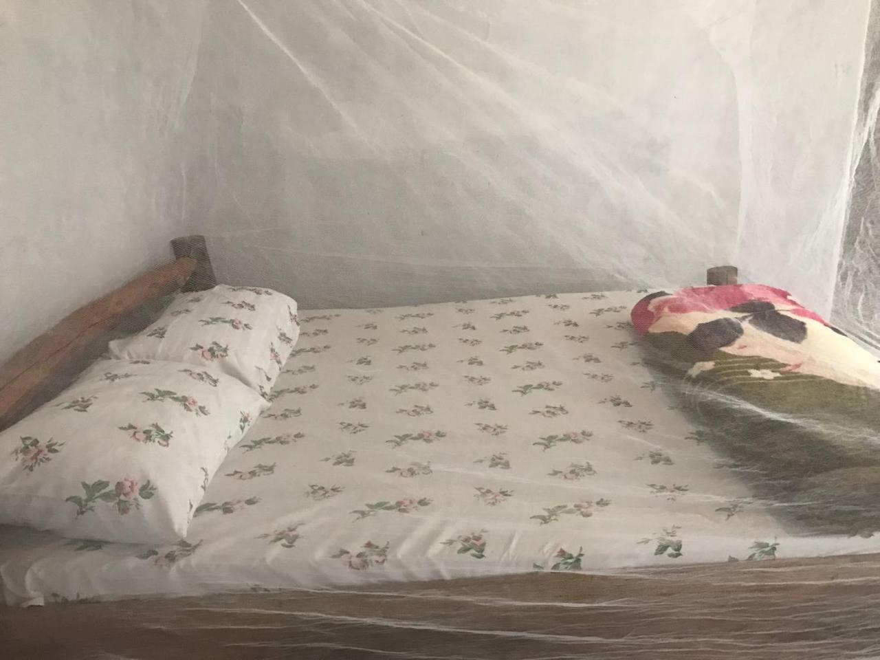 Ferienwohnung Sipi Backpackers Kapchorwa Zimmer foto